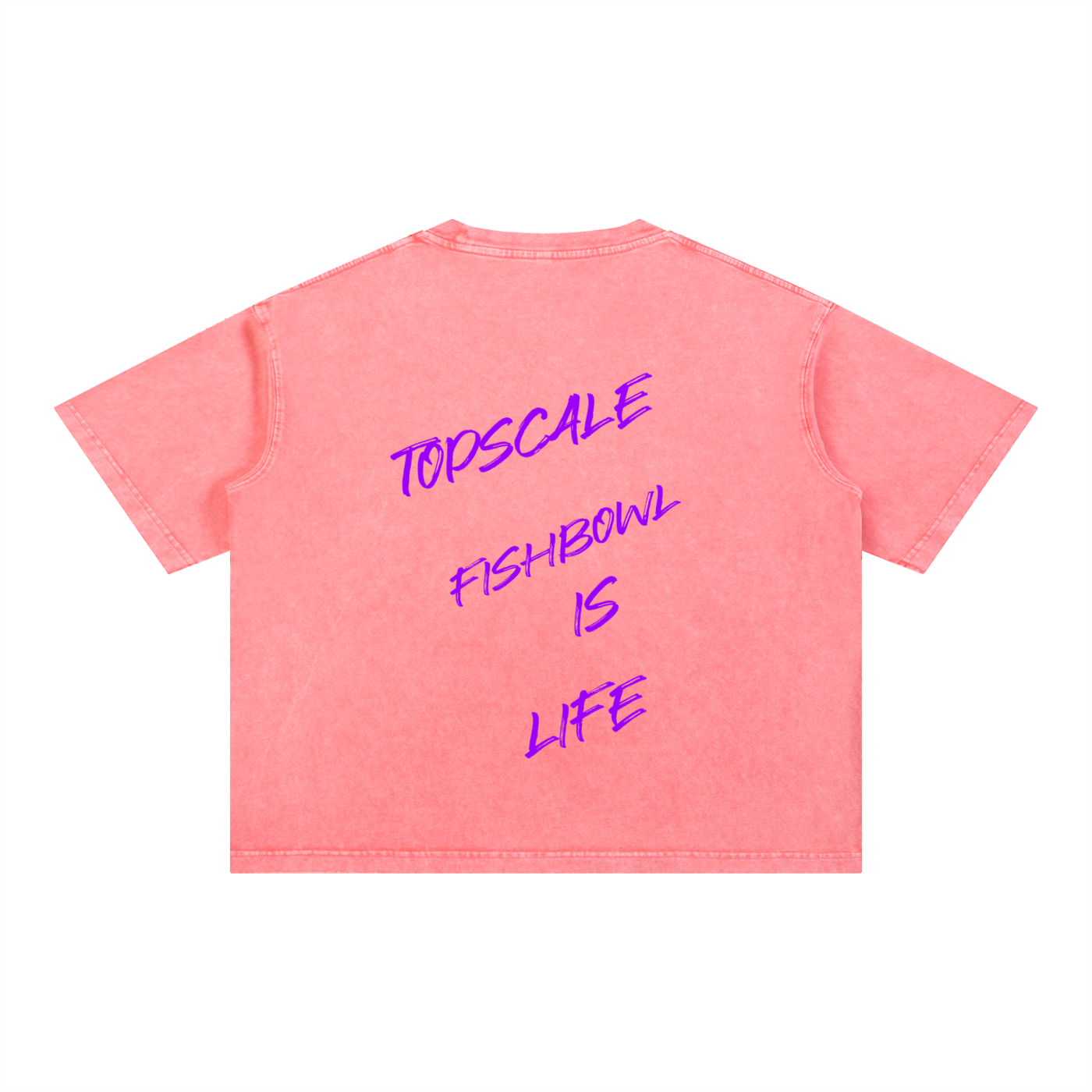 Topscale by Frank Howard 