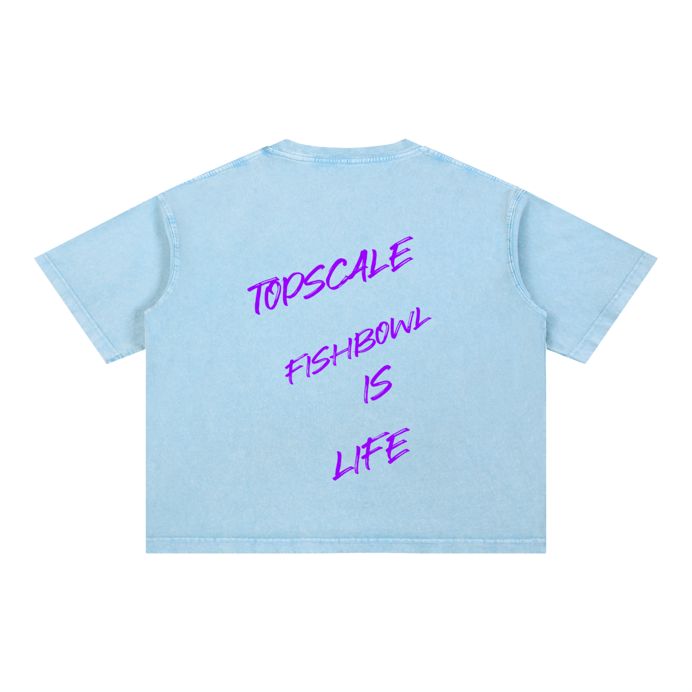 Topscale by Frank Howard 